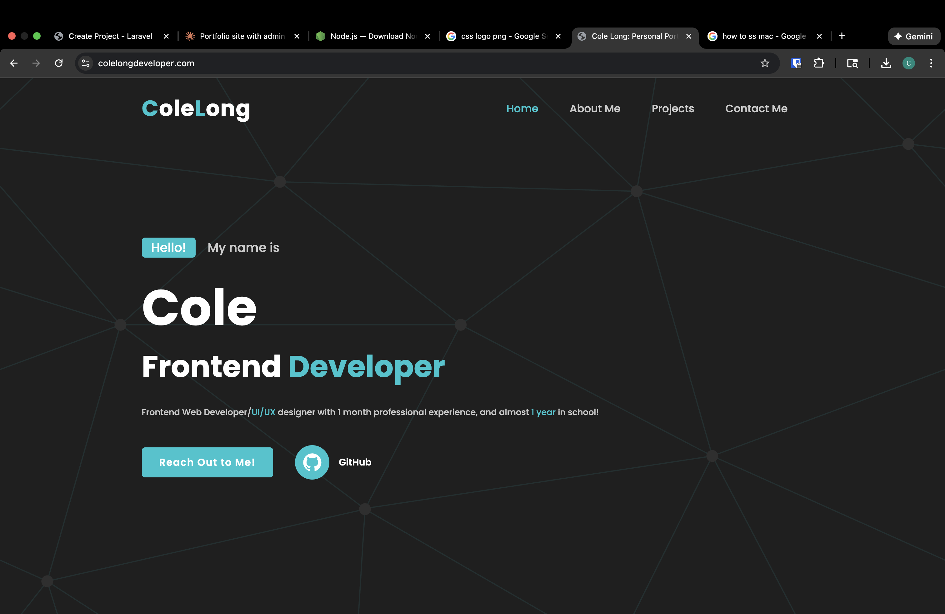 First Portfolio Project